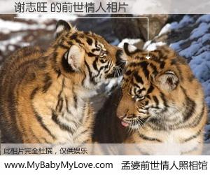 #孟婆前世情人照相馆# 【谢志旺 的前世情人】前生，我们相亲相爱，相约下辈子还要在一起，你的誓言可别忘记。然而轮回路上的一碗孟婆汤，却将一切归零。茫茫人悔，谁是我的前世情人？谢志旺 的前世情人，有图有真相：