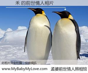 #孟婆前世情人照相馆# 【陳祐禾 的前世情人】前生，我们相亲相爱，相约下辈子还要在一起，你的誓言可别忘记。然而轮回路上的一碗孟婆汤，却将一切归零。茫茫人悔，谁是我的前世情人？陳祐禾 的前世情人，有图有真相：