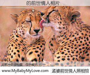 #孟婆前世情人照相馆# 【���ͮ 的前世情人】前生，我们相亲相爱，相约下辈子还要在一起，你的誓言可别忘记。然而轮回路上的一碗孟婆汤，却将一切归零。茫茫人悔，谁是我的前世情人？���ͮ 的前世情人，有图有真相：